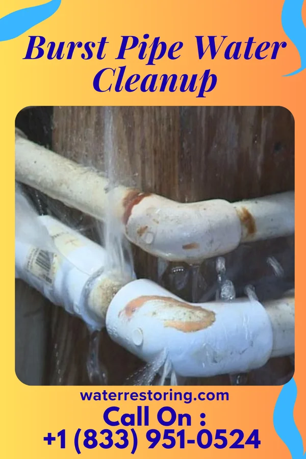 Burst Pipe Water Cleanup in East Newnan, GA