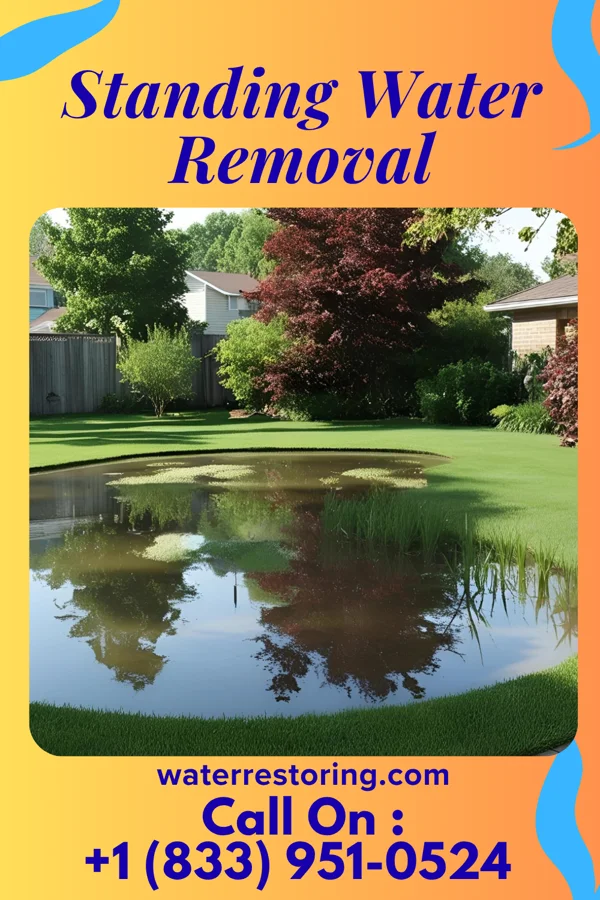 Standing Water Removal in East Newnan, GA